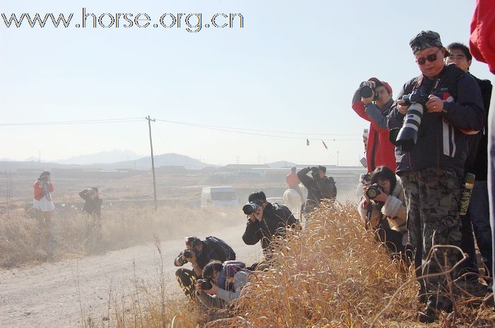 2010登程&#8226;骏马驰骋摄影比赛