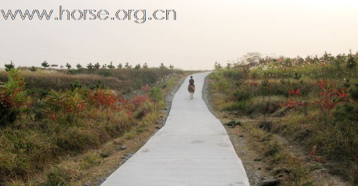 2010登程&#8226;骏马驰骋摄影比赛