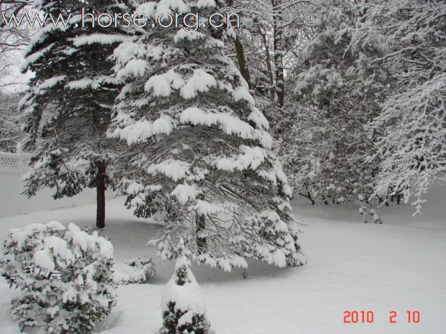 下雪，下雪，