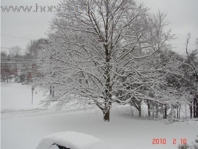 下雪，下雪，