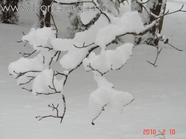 下雪，下雪，