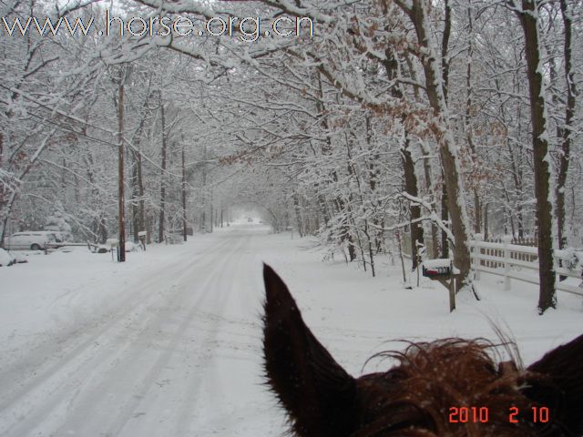 下雪，下雪，