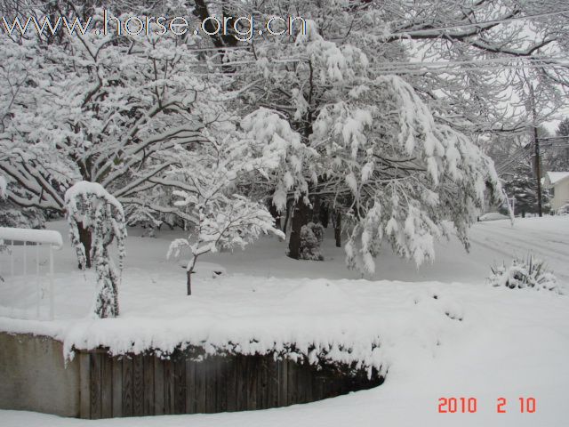 下雪，下雪，