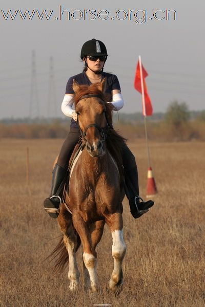 [贴图]骏马 美女 帅哥及马文化