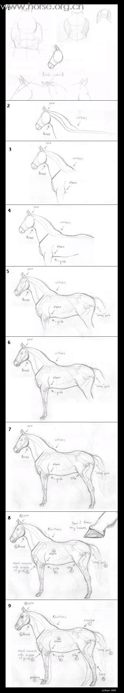 马是怎么画出来的~