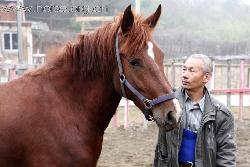 我的爱马搬到飚马客了