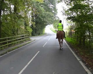 中国尚未翻版的美国道路模式_马道