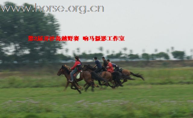 祝贺第2届开沙岛越野赛圆满完成