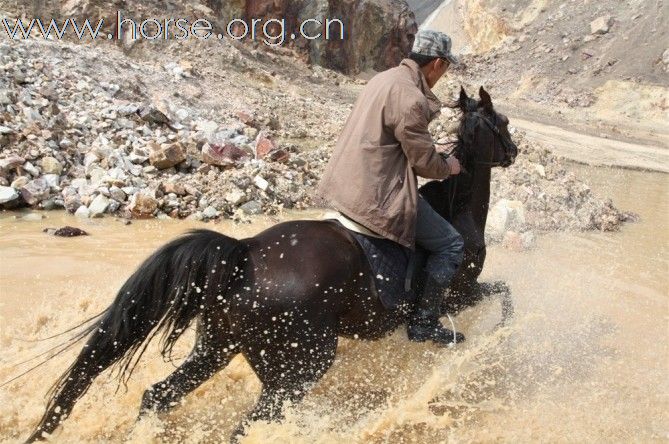 [贴图]普吉岛 野骑