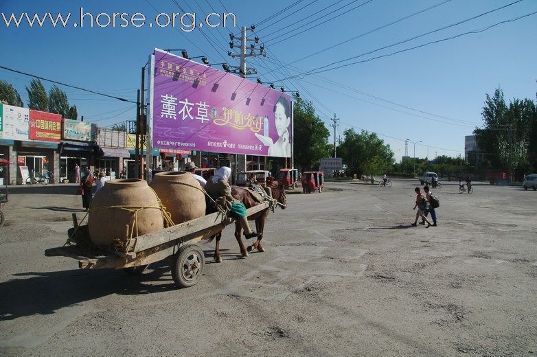 马背上的城市：伊犁的街头“马的士”