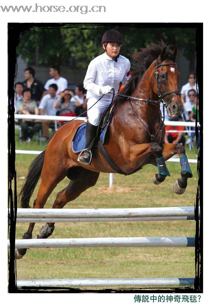 晓光手记:活力广州“广汽杯”2010全国现代五项冠军赛总决赛  暨亚运现代五项场地测试赛（二）女