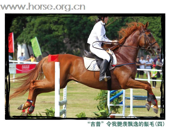 晓光手记:活力广州“广汽杯”2010全国现代五项冠军赛总决赛  暨亚运现代五项场地测试赛（二）女