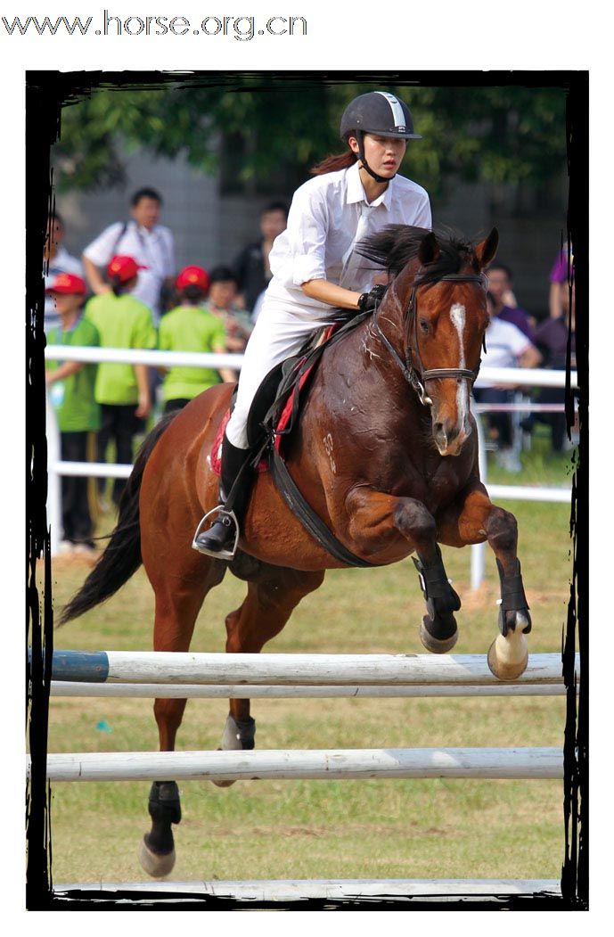 晓光手记:活力广州“广汽杯”2010全国现代五项冠军赛总决赛  暨亚运现代五项场地测试赛（二）女