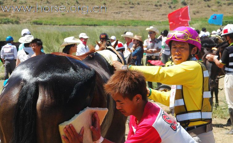 第二届中国·锡林郭勒国际马术耐力赛精彩瞬间