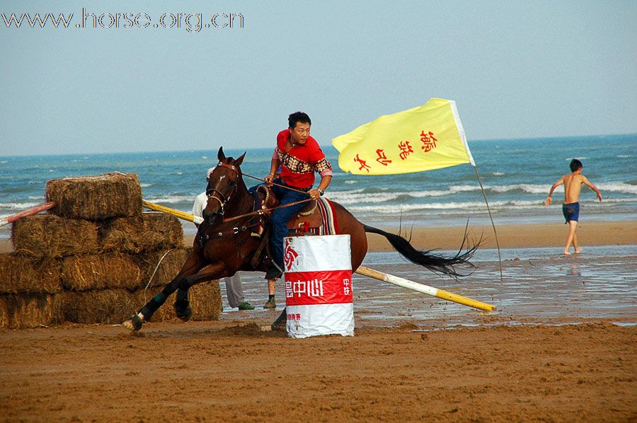 青岛沙滩马术：赛场风云