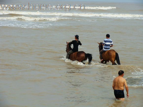 周末 开沙岛+黄金海滩 骑马活动PP