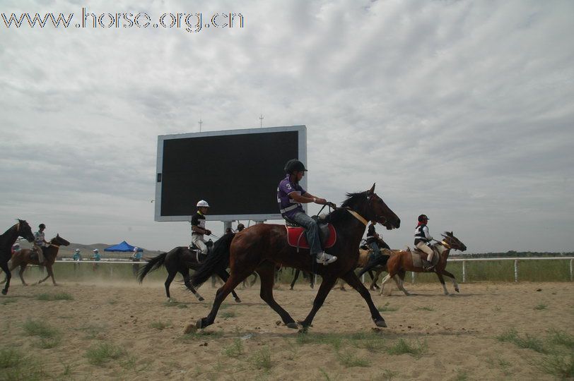 2010锡林郭勒国际马术耐力赛—场地赛赛段