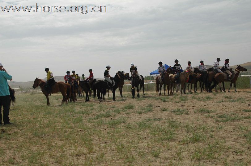 2010锡林郭勒国际马术耐力赛—场地赛赛段