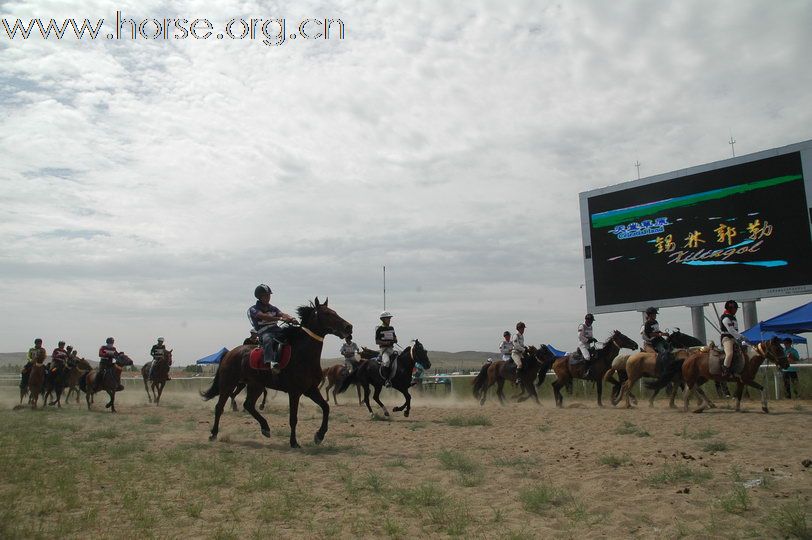 2010锡林郭勒国际马术耐力赛—场地赛赛段