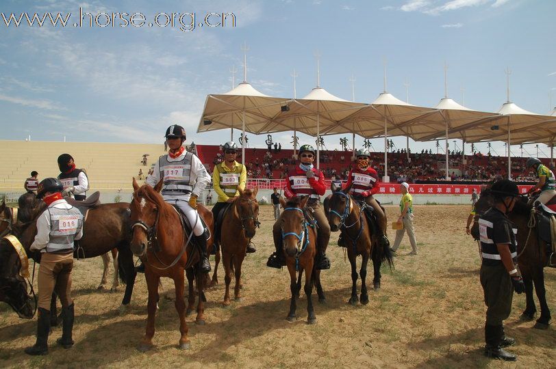 2010锡林郭勒国际马术耐力赛—场地赛赛段