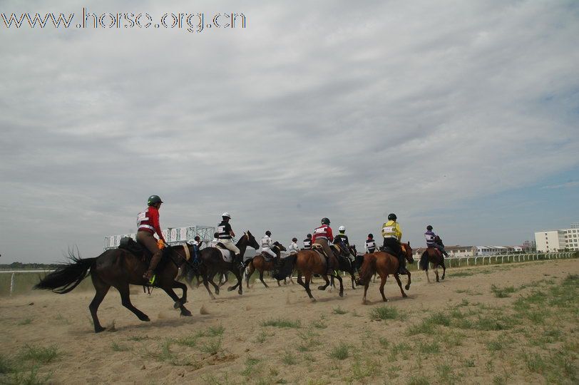 2010锡林郭勒国际马术耐力赛—场地赛赛段