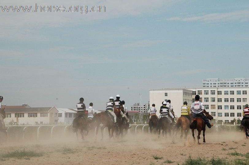 2010锡林郭勒国际马术耐力赛—场地赛赛段