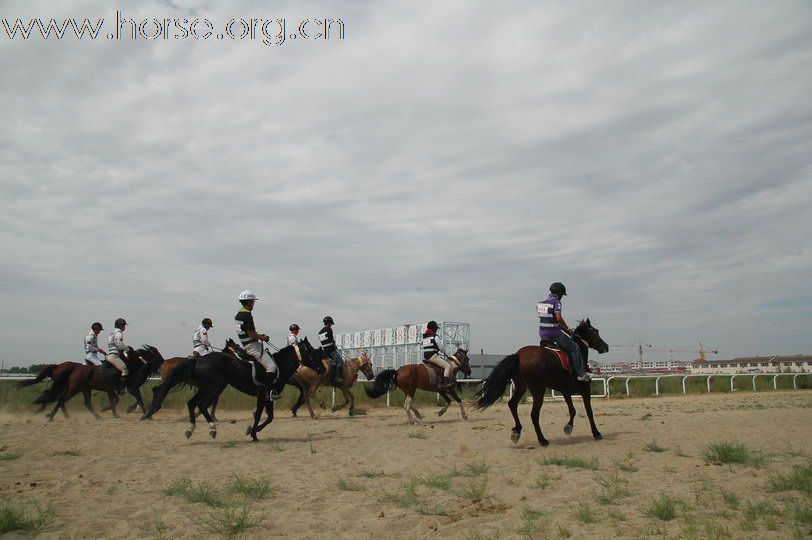 2010锡林郭勒国际马术耐力赛—场地赛赛段