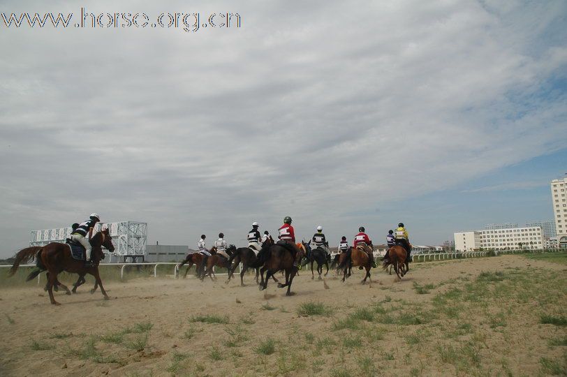 2010锡林郭勒国际马术耐力赛—场地赛赛段