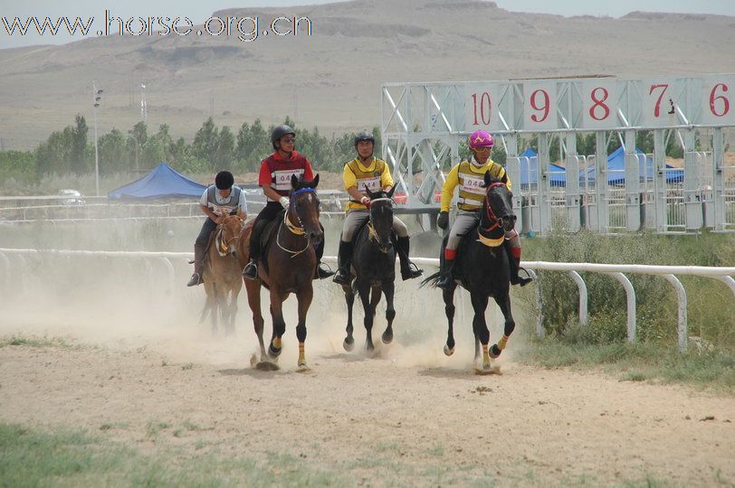 2010锡林郭勒国际马术耐力赛—场地赛赛段