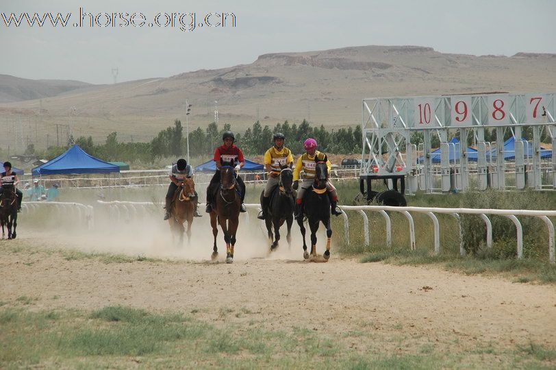 2010锡林郭勒国际马术耐力赛—场地赛赛段