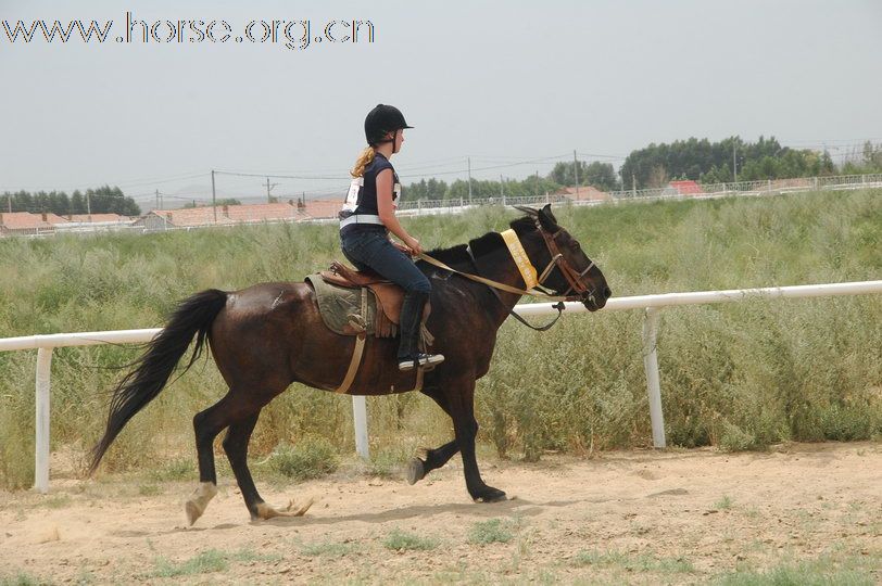 2010锡林郭勒国际马术耐力赛—场地赛赛段