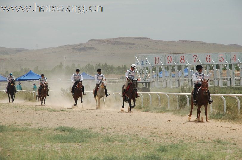 2010锡林郭勒国际马术耐力赛—场地赛赛段