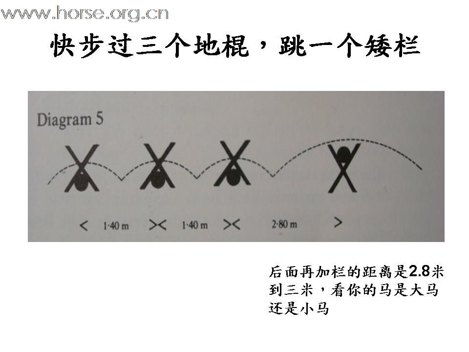 我的骑马经验（12）一个成功的障碍比赛骑手应该具备的条件