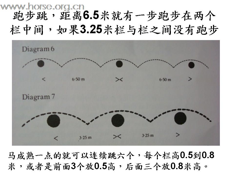 我的骑马经验（12）一个成功的障碍比赛骑手应该具备的条件