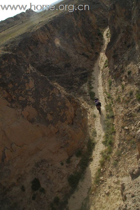 走出峡谷，拥抱夕阳：银川耐力赛终点