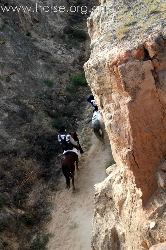 走出峡谷，拥抱夕阳：银川耐力赛终点