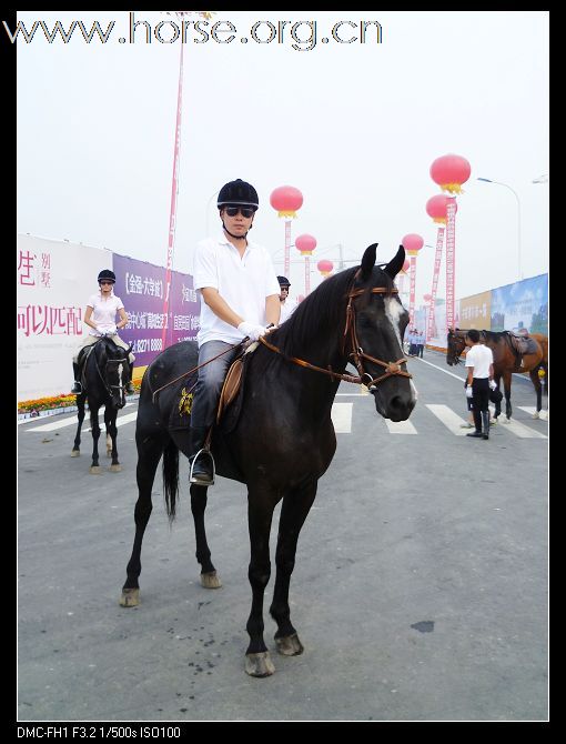 2010首届金马马术体育文化旅游节