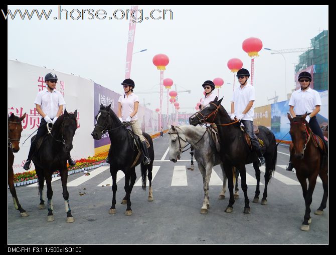 2010首届金马马术体育文化旅游节