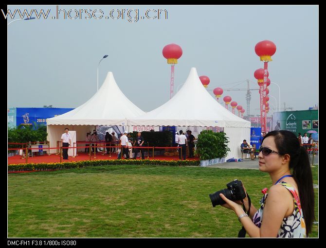 2010首届金马马术体育文化旅游节