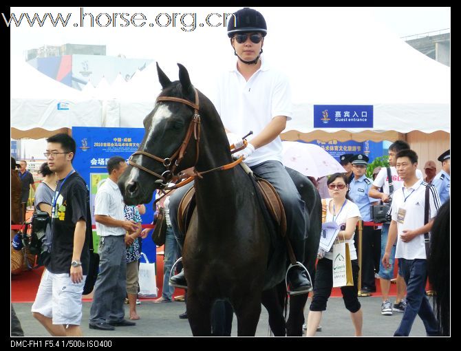 2010首届金马马术体育文化旅游节