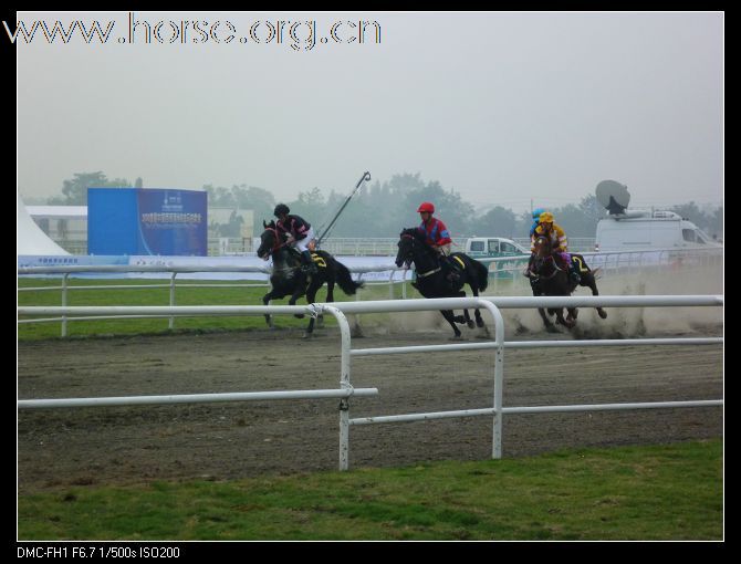 2010首届金马马术体育文化旅游节