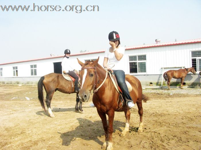 野骑回来了...