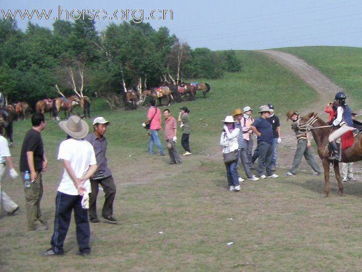 草原之旅