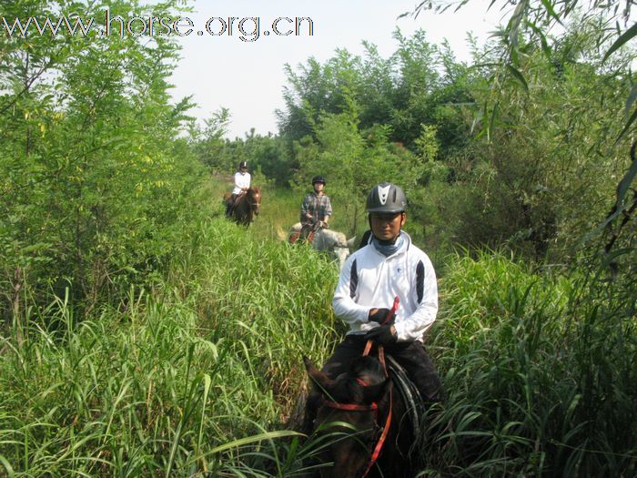 野骑回来了...