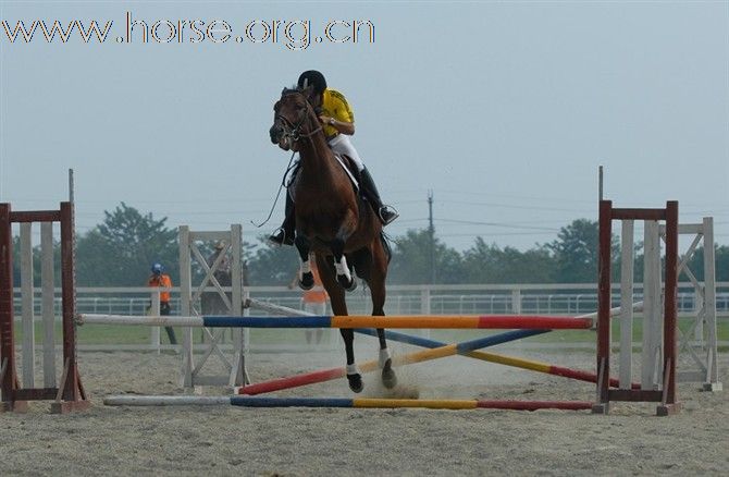 2010首届金马马术体育文化旅游节