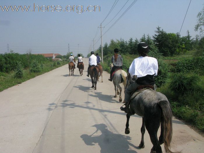 野骑回来了...