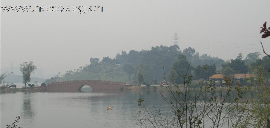 松山湖马术俱乐部2010年10月1日试业