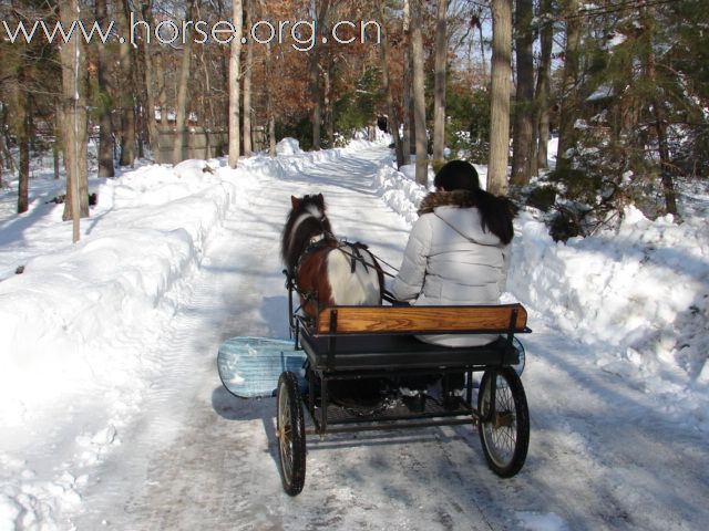 越野滑雪