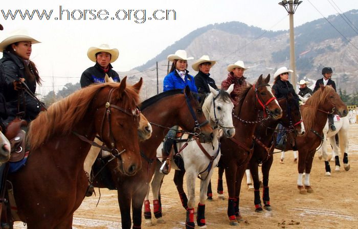 青岛马术协会2011年会最新图片