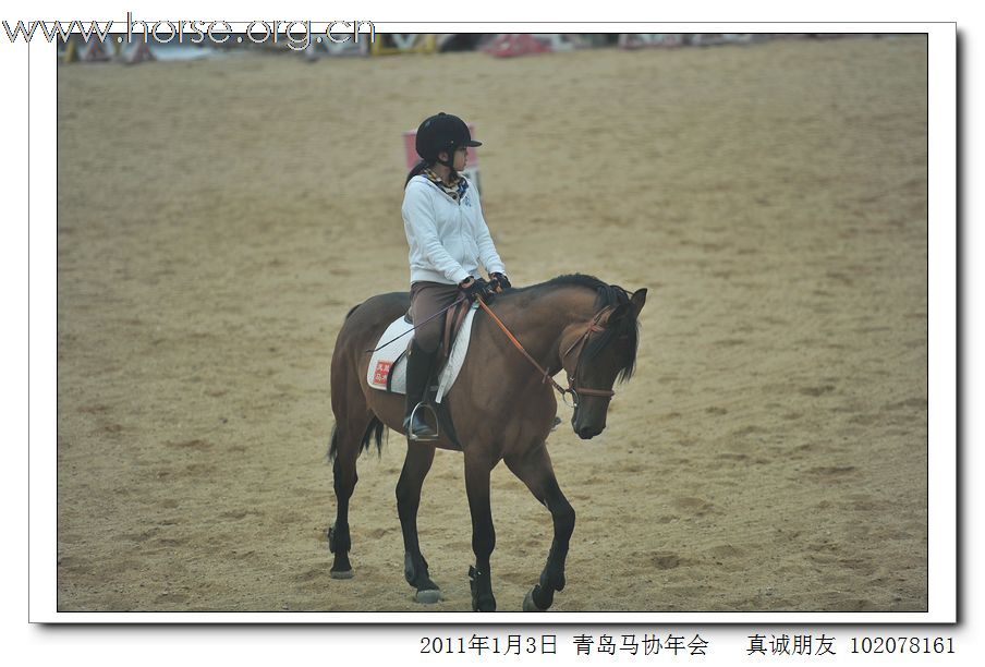 青岛市马术协会2011年年会精彩图片